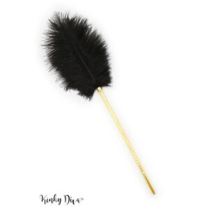 Chic Plume Noire et Dorée